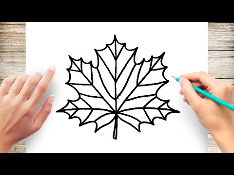 Video: How To Draw A Maple Leaf