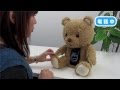 Cocolo Bear - ココロベアの紹介