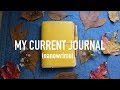 Current Journal Flip Through  (travelers notebook, baron fig, and nanowrimo!!)