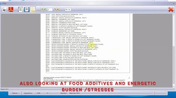 Sensitiv Imago (SI) Key Concepts:Conclusion Report Explained:  Part 3