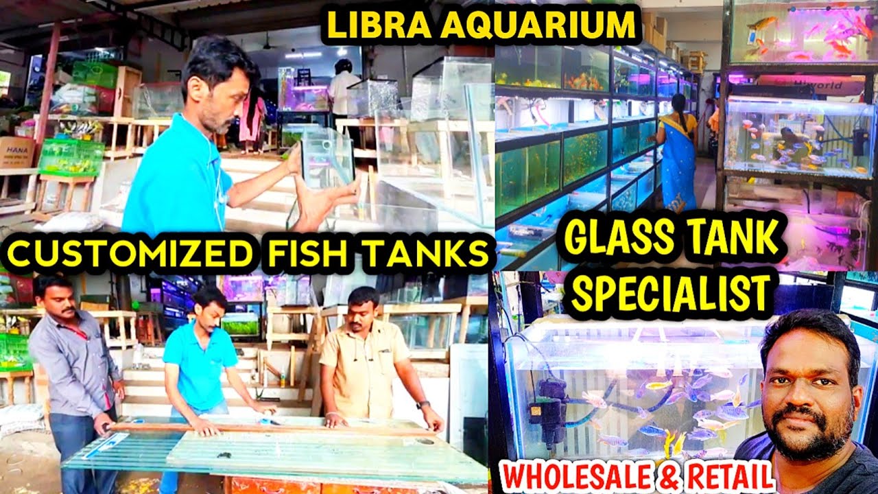 Libra aquarium Kolathur Fish Market Customized Aquarium Tanks