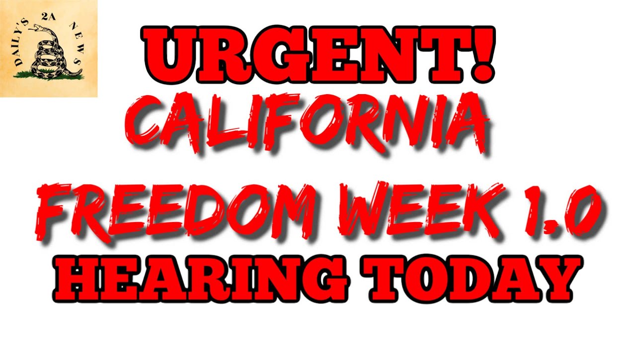California Freedom Week 1.0 Hearing This Morning! YouTube