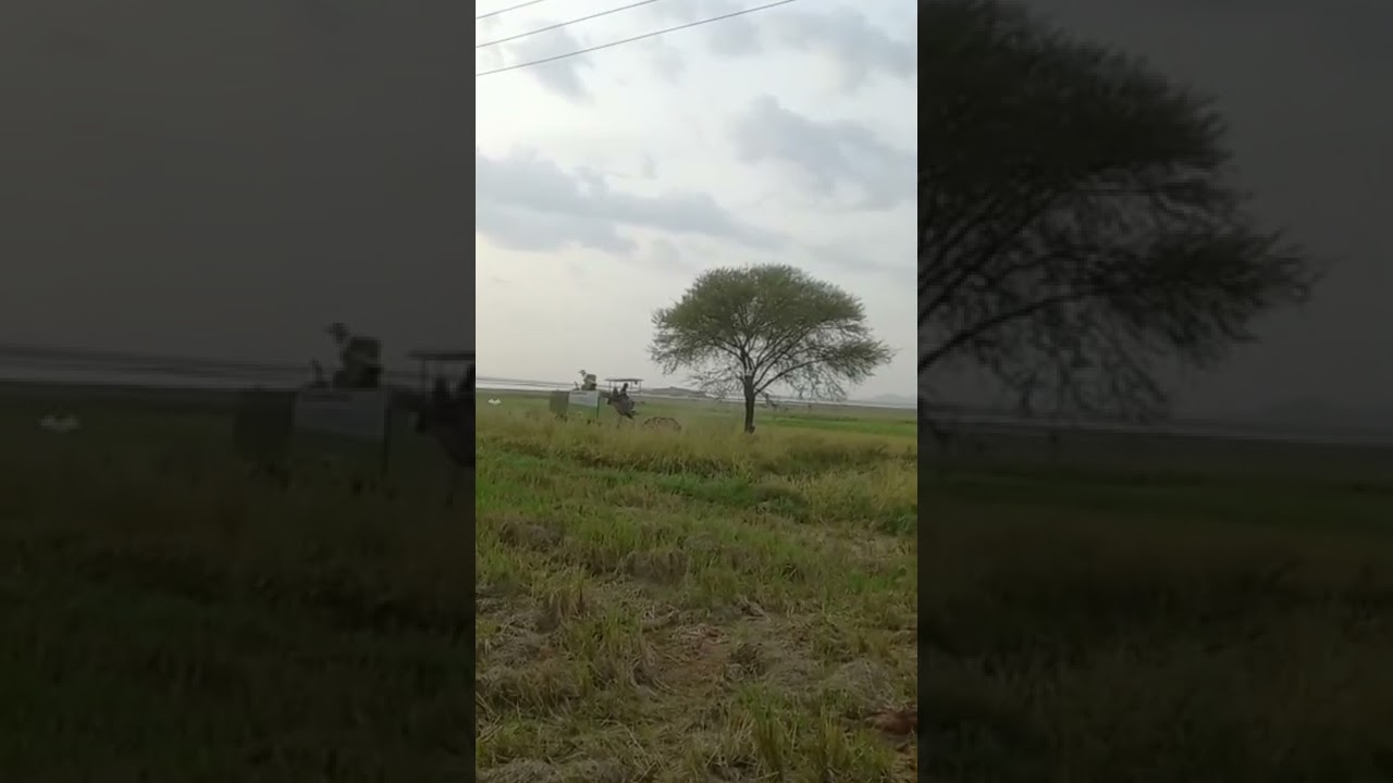 CHSC chandrabanda Claas