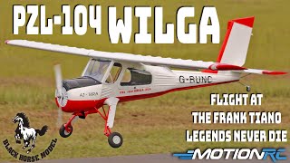Black Horse 88' Wilga ARF Flight At The Frank Tiano Fly-In | Motion RC by Motion RC 2,972 views 5 days ago 8 minutes, 26 seconds