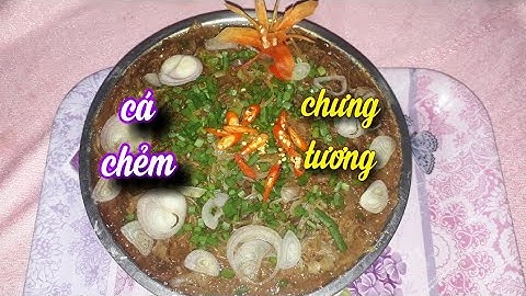 Cách làm CÁ CHẼM CHƯNG TƯƠNG - BÚN TÀU  món ngon miền tây