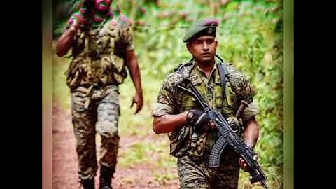 CRPF whatsapp status video (Ss king status).#crpf