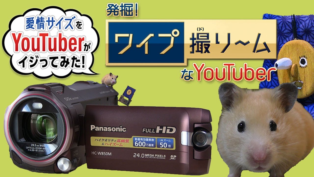 斬新 ハムスターの溺流門さんが考えた愛情サイズ ワイプ撮り の楽しみ方とは Youtube