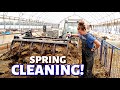 MY SHEEP BARN GOT A MAKEOVER!  (Cleaning the SHEEP BARN for LAMBING): Vlog 303