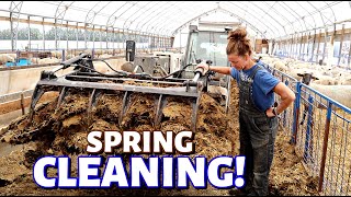 MY SHEEP BARN GOT A MAKEOVER!  (Cleaning the SHEEP BARN for LAMBING): Vlog 303
