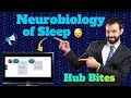Neurobiology of Sleep - Circadian Rhythms, Sleep-Wake Cycle and Insomnia