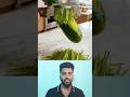 💥👌 காய்கறிகள் ஈசி ஆக கட் செய்ய இது போதும்👌#cooking #cookingtips #kitchen #kitchentips #cookingshorts