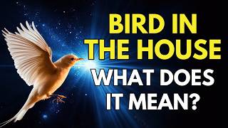 Birds Flying into Your House: Symbols of Luck or Caution? Decode the Mystery Now!