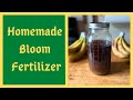 DIY Homemade Bloom Fertilizer: Essential for Transitioning Plants