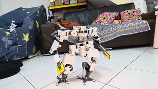 Anvil Ss - Walking Test2