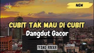 Dangdut Enak _ CUBIT TAK MAU DI CUBIT || IYAND RMXR _ New 2025🔥