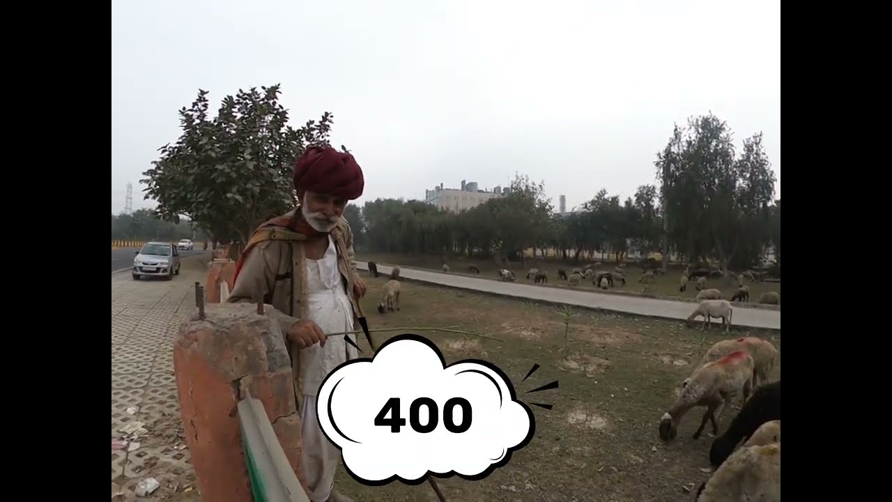  Pehli baar itni saari bhed ek saath dekhi 😲 😲🐑