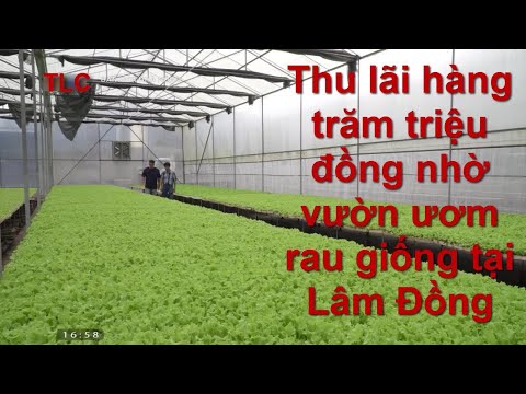 Video: Vườn ươm Nông Sản 