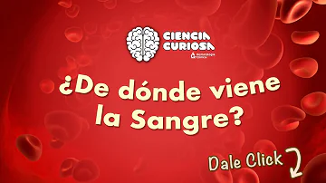 ¿Cómo nació la sangre?