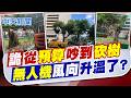 【張雅婷報新聞】從預算吵到砍樹 綠無人機風向 選舉前升溫?｜ 網掀"北市砍樹"回報 綠委加碼批蔣想選總統 20260716精華版  @中天電視CtiTv