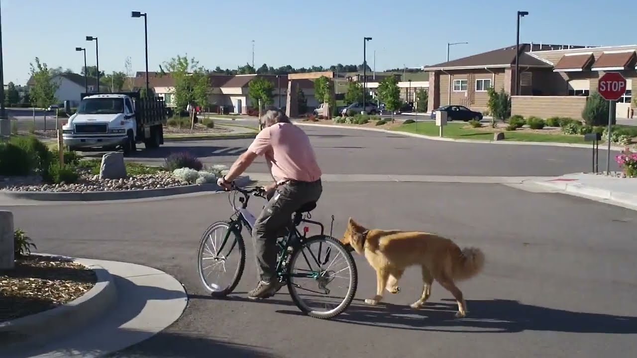 number one bicycle company in the world