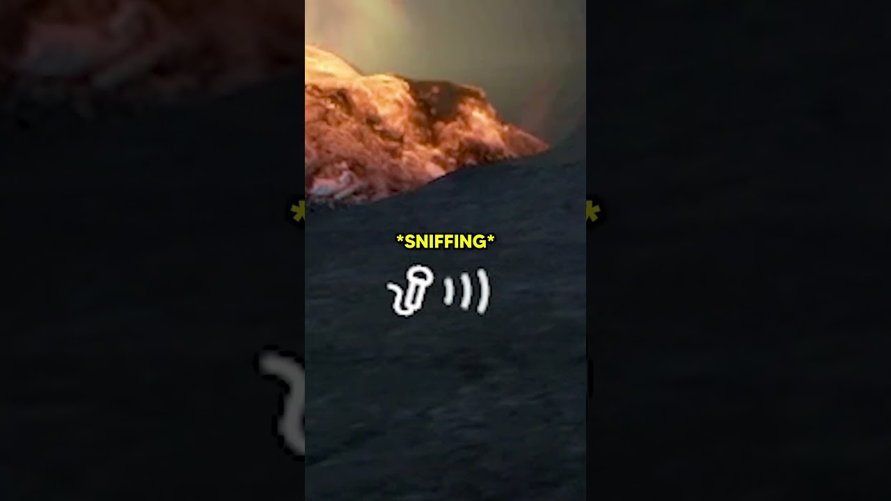 Smelling People's FEET In DayZ