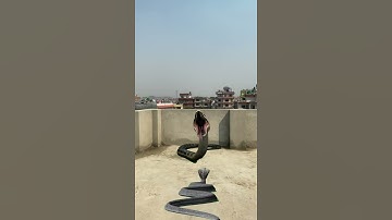 Nagin 5 new vfx video | Viral video | kinemaster Editing video | kinemaster video