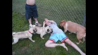 jacobs slide show.wmv