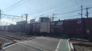 75レ EF210-317+コキ24B