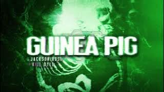 Jackson Rose - GUINEA PIG (feat. Kill Dyll)