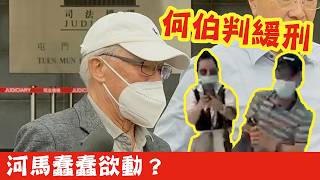 何伯判緩刑,河馬應該蠢蠢欲動準備又黎分呀伯D錢,大家最希望河馬罰咩?收公屋?趕返大陸?cut綜援同福利資助? #廣東話