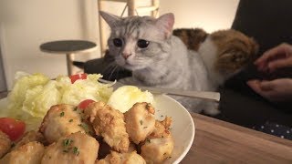 Things that happen at the dinner table with 7 cats: Chicken Karaage (ENG SUB)