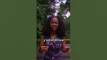 El Creole Vive En Colombia 