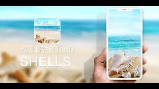 Wonderful Shells Wallpaper 4K screenshot 5