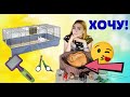 ХОЧУ КРОЛИКА! ЧТО НУЖНО ДЛЯ ПОЯВЛЕНИЯ КРОЛИКА В ДОМЕ? ПЕРВЫЕ ПОКУПКИ КРОЛИКА! 🐰💜