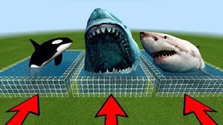 MCPE: DO NOT CHOOSE THE WRONG FARM (Megalodon, White Shark & Orca)