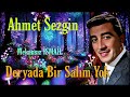 Ahmet Sezgin - Deryada Bir Salım Yok