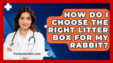 How Do I Choose the Right Litter Box for My Rabbit? - PetGuide360.com