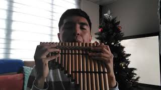 Trabajo De Expo Cristian López - El Cóndor Pasa