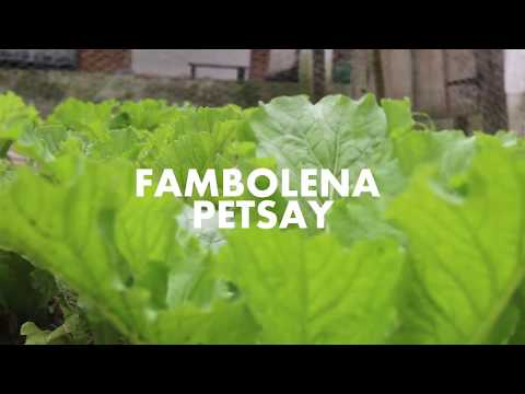 Fambolena petsay