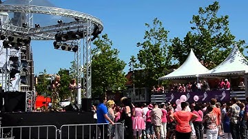Tilburgse Kermis 2012 - Roze Maandag