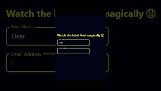 Tricks: 73/100 Floating Input Labels Are So Cool ✨#HTML #CSS #FrontendMagic #FloatingLabel
