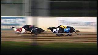 WBL THU 21 JUL 16 R6