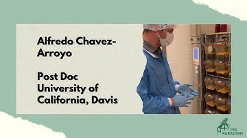 Exploring PIG-PARADIGM with Alfredo Chavez-Arroyo