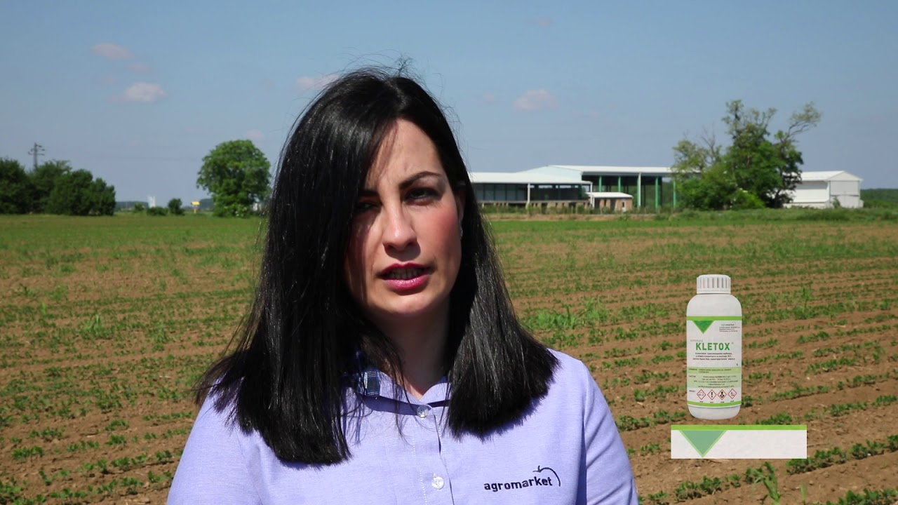 Kletox - smrt za divlji sirak