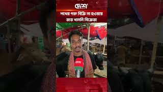 শখের গরু বিক্রি না হওয়ায় ভাত খাননি বিক্রেতা #ViralGaru #ViralGoru #ViralCow #CowHaat #CowSeller