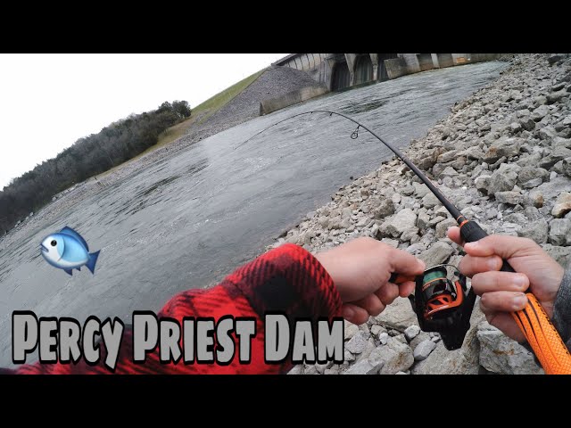 First Time Fishing J. Percy Priest Dam - Unexpected Catches