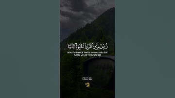 تلاوة هادئة من سورة البقرة للقارئ محمد الفقيه 💚 - أرح قلبك المتعب ❤️🩹