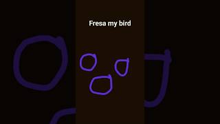 fresa my bird video