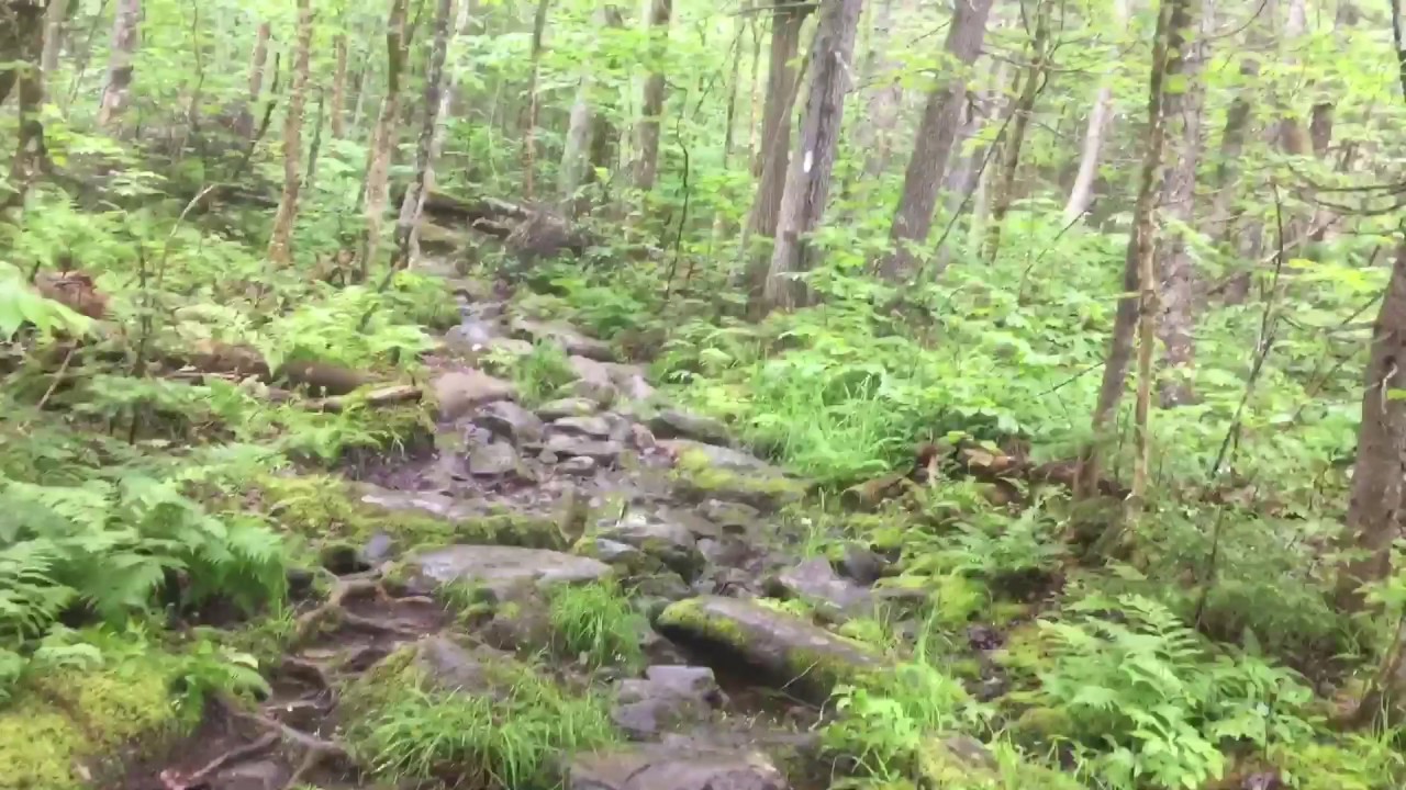 appalachian trail georgia Day 99-100, Moxie Bald Mntn. Lean-to to Monson, ME, 17.9 miles