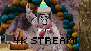 Gorilla Tag With You!!! (4K!)